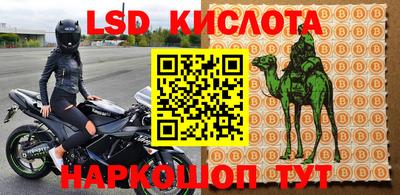 прущие грибы Мариинск
