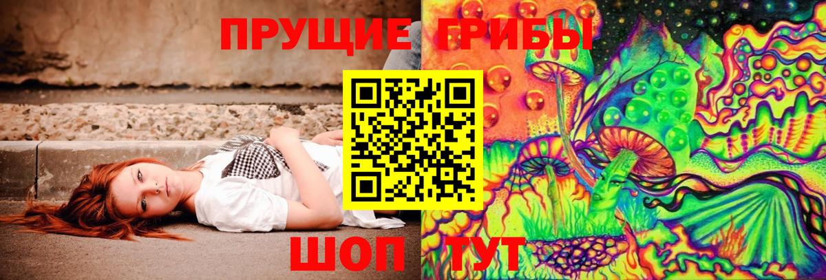 Гудермес  Псилоцибиновые грибы Psilocybine cubensis  Вход с VPN 